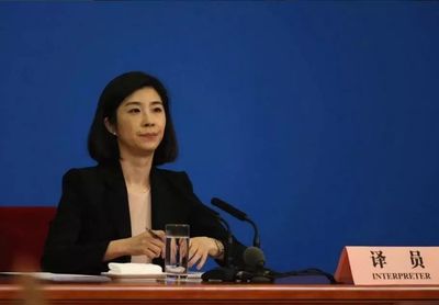 最美翻译官张璐:总理“御用”翻译,才华深藏于心