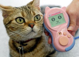 图文 猫语 便携电子翻译器日本东京问世